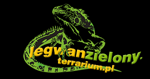 Legwan zielony iguana